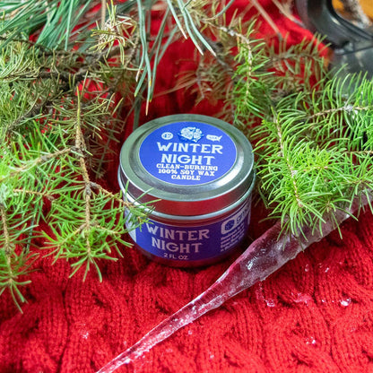 Winter Night Gaming Candle: 2oz - QuestChest